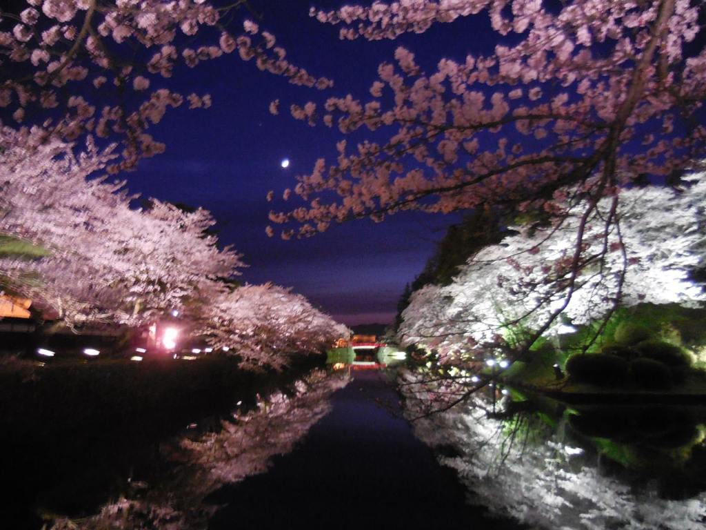 「世界に伝えたい日本の春の絶景」に米沢・松が岬公園（上杉神社）が選出♪
