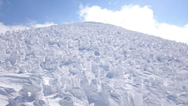 山形の大自然の神秘☆蔵王の樹氷が素晴らしいーお客様のご感想よりー