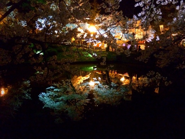 満開の桜♪上杉神社はお昼も夜も花見におすすめです☆