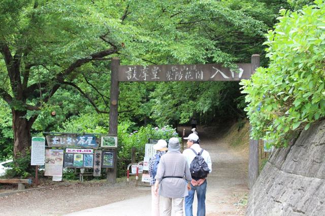 山形への旅。新潟を通過するルートに護摩堂山あじさい園巡り♪