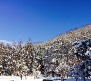 米沢12月の寒波とピカピカ銀世界とすみれの冬メニュー