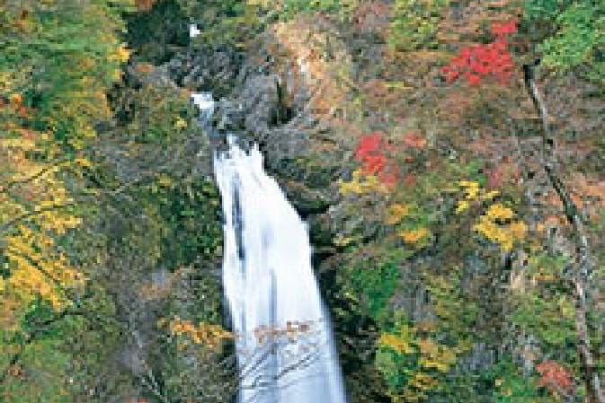 秋保大滝 植物園