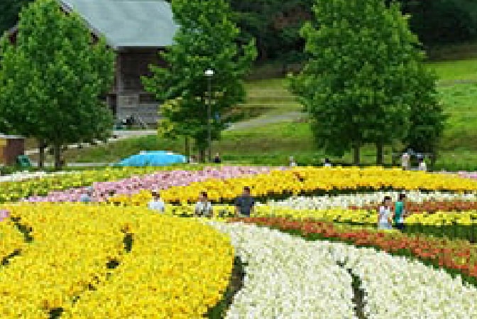 どんでん平ゆり園