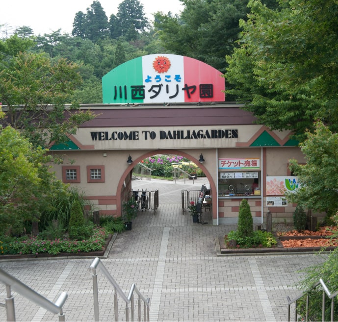 米沢観光「川西ダリヤ園」