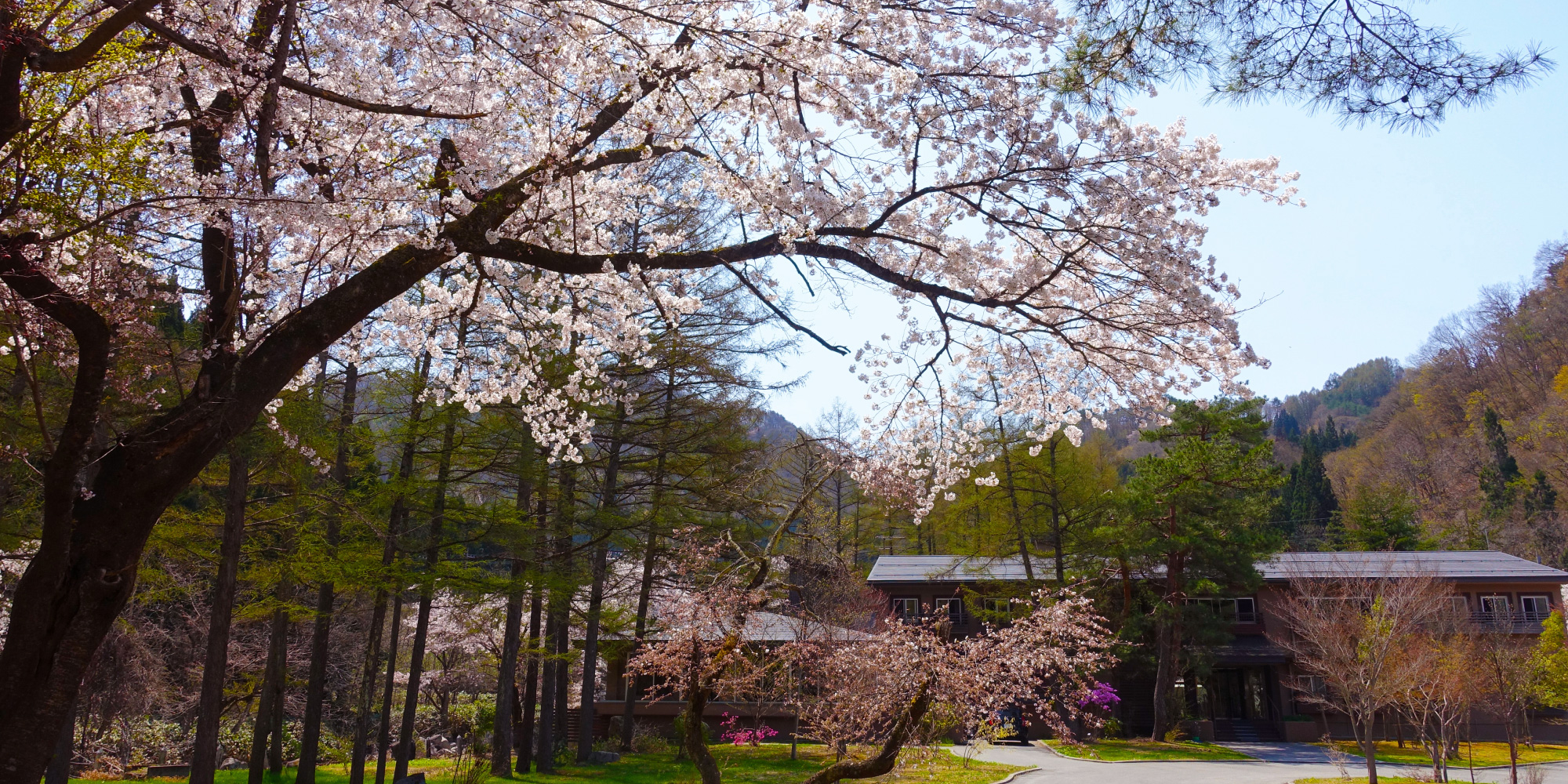 湯の沢温泉　時の宿 すみれ