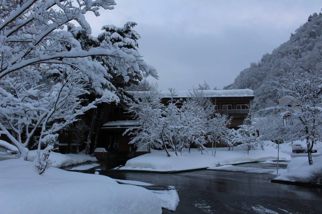 2015年元日の朝。すみれの外観を。寒かったのに ありがとう♪