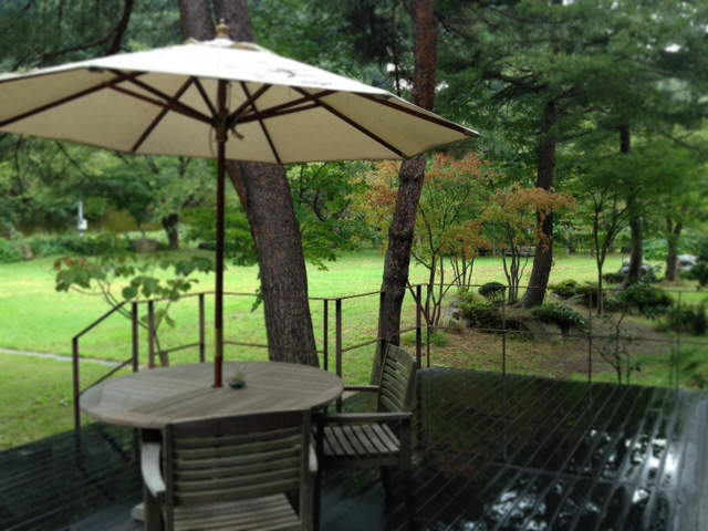 秋雨に濡れる 10月5日のすみれガーデン♪