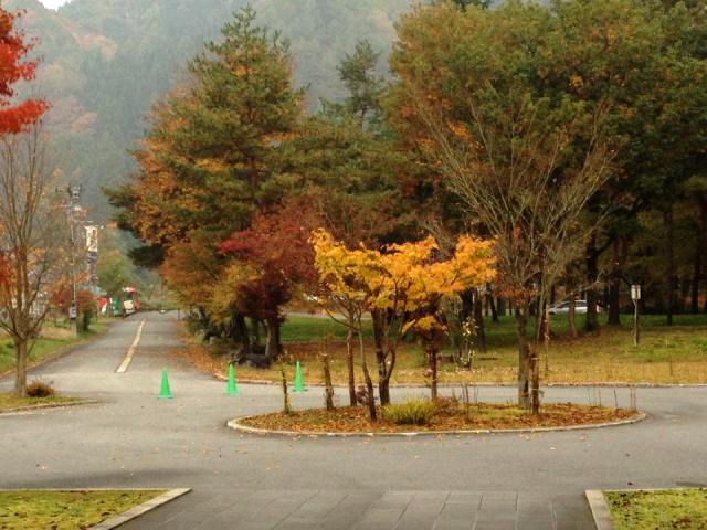 立冬の風景と お客様が選んだ秋メニューベスト3☆