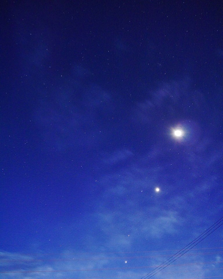 同じ場所で 一緒に 花を 蝶を 星空を オリオン座を 見ているような気がしたよ!