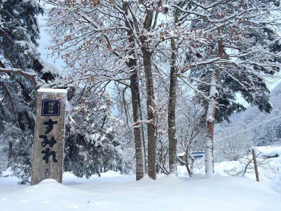 車道に面したエントランスまでお散歩だったんですね
