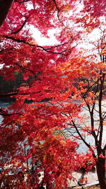 同じ音楽を好きになったり 同じお店で同じものを食べれるだけでしあわせって ありますよね♪
