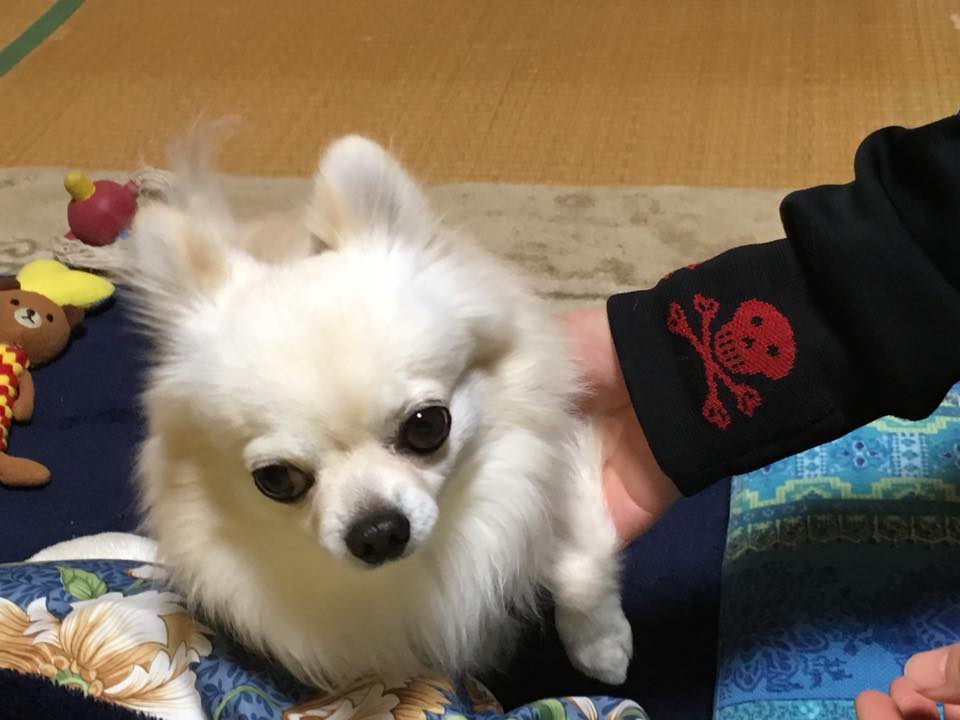 母の実家の農業を継いでいる中川吉右衛門をわたしも応援してます♪