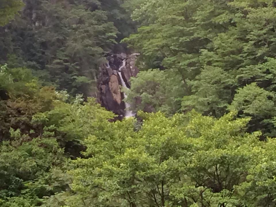 火焔の滝が見える