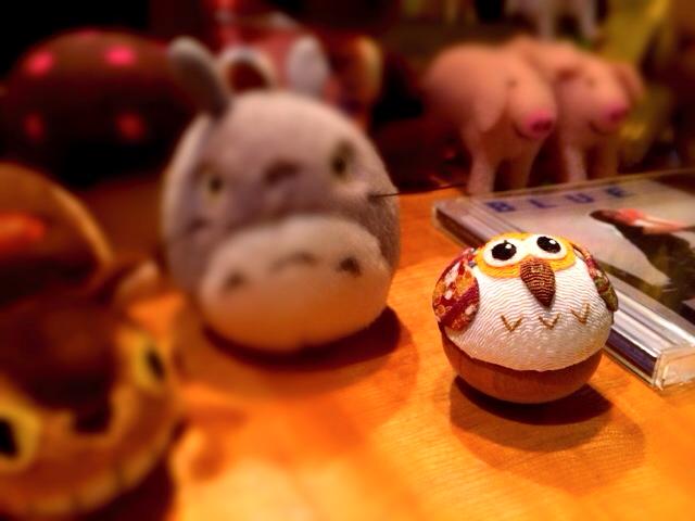 すみれのぶた達に新しいアイテム&仲間ができました(笑)ーそしてその後ー