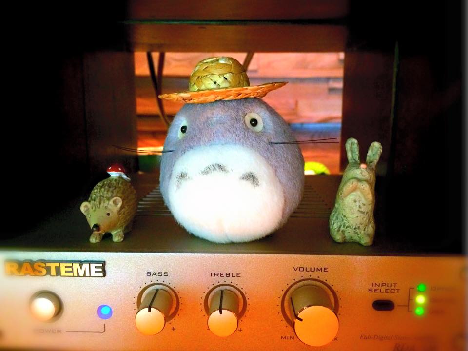 すみれのぶた達に新しいアイテム&仲間ができました(笑)ーそしてその後ー