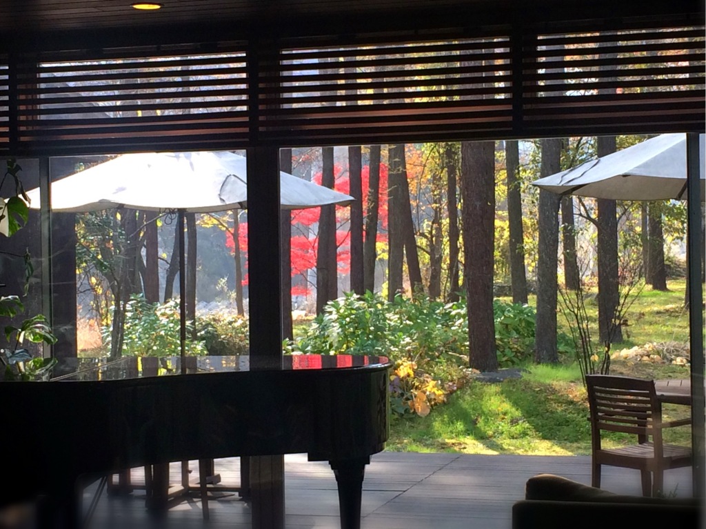 黄金色のカラマツロード。-自然に寄り添う-