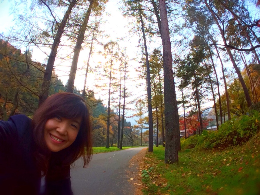 黄金色のカラマツロード。-自然に寄り添う-