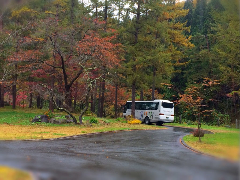 だれかの役にたてることが　嬉しくて　しあわせなこと。ーすみれのひとときー