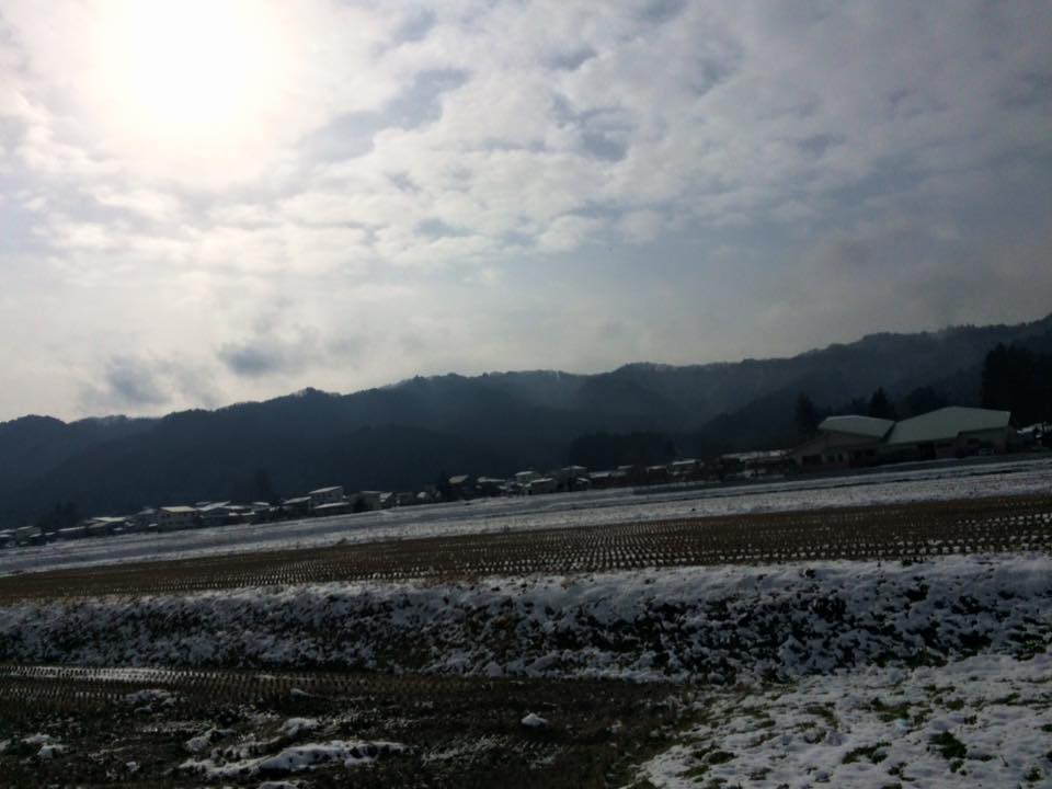今朝のお宿近くの田園の風景
