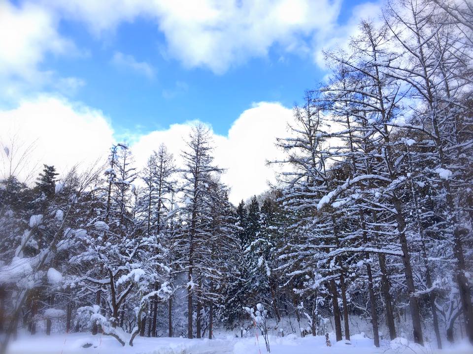 12494985_932864966820806_3110176468441587110_n