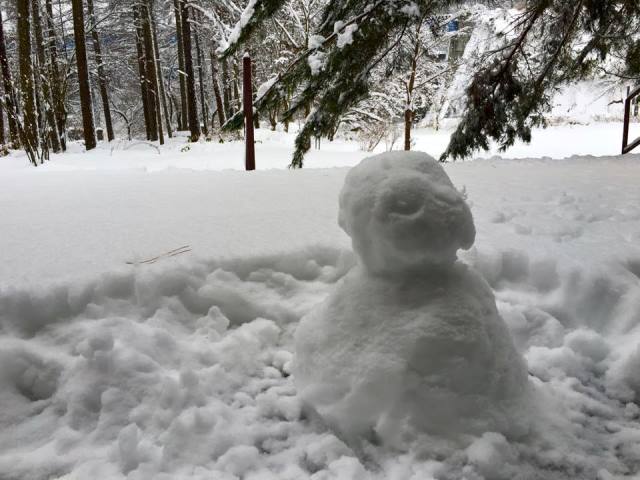 「少しずつ身体を整えて 健やかな時を過ごしに」大切なことをしみじみ感じて。