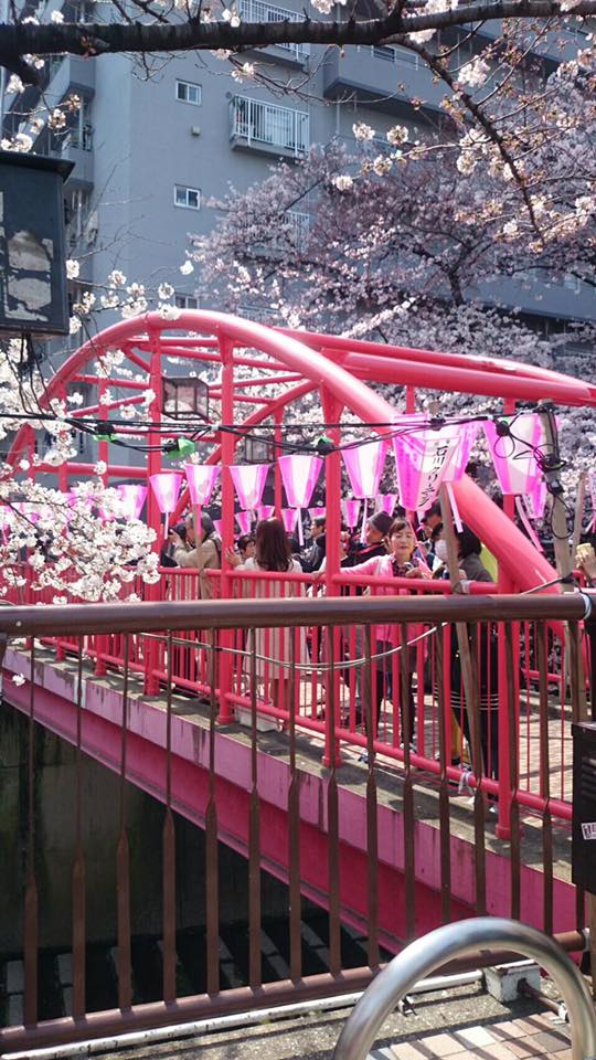 目黒川「中目黒の桜」ー思い出の場所ー