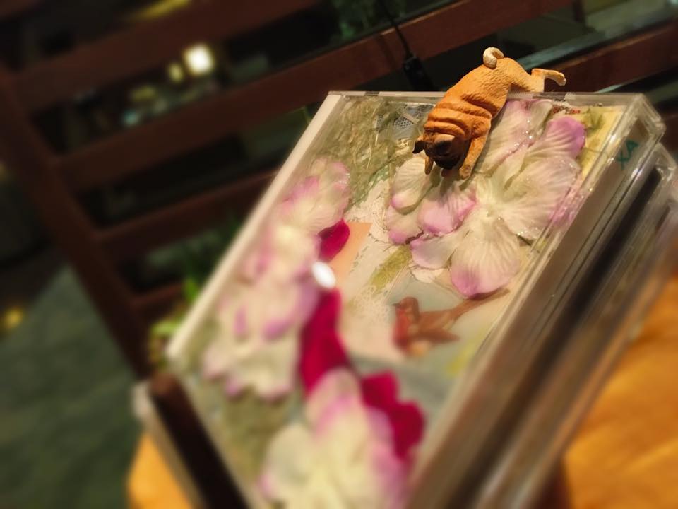 誰ぇーーーーーー(笑)