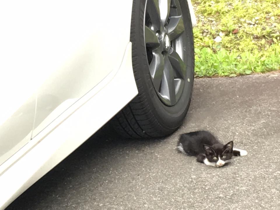 駐車場でパチリ☆