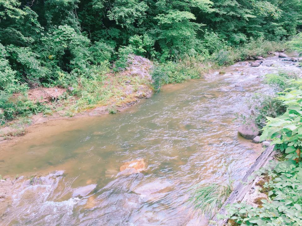 翌朝、昨日の朝の川の様子~