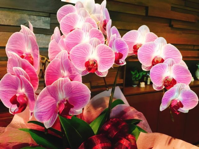 これからも「わたし達の心のふるさと」と思っていただけるように♪ー時の宿すみれ11周年記念にー