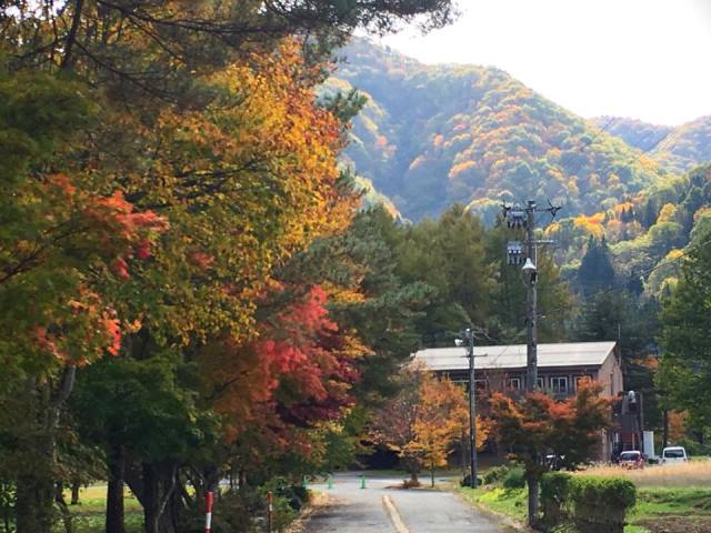 米沢お宝まるごと収穫祭で軽いランチやおやつをGET錦秋の米沢を満喫してね~!