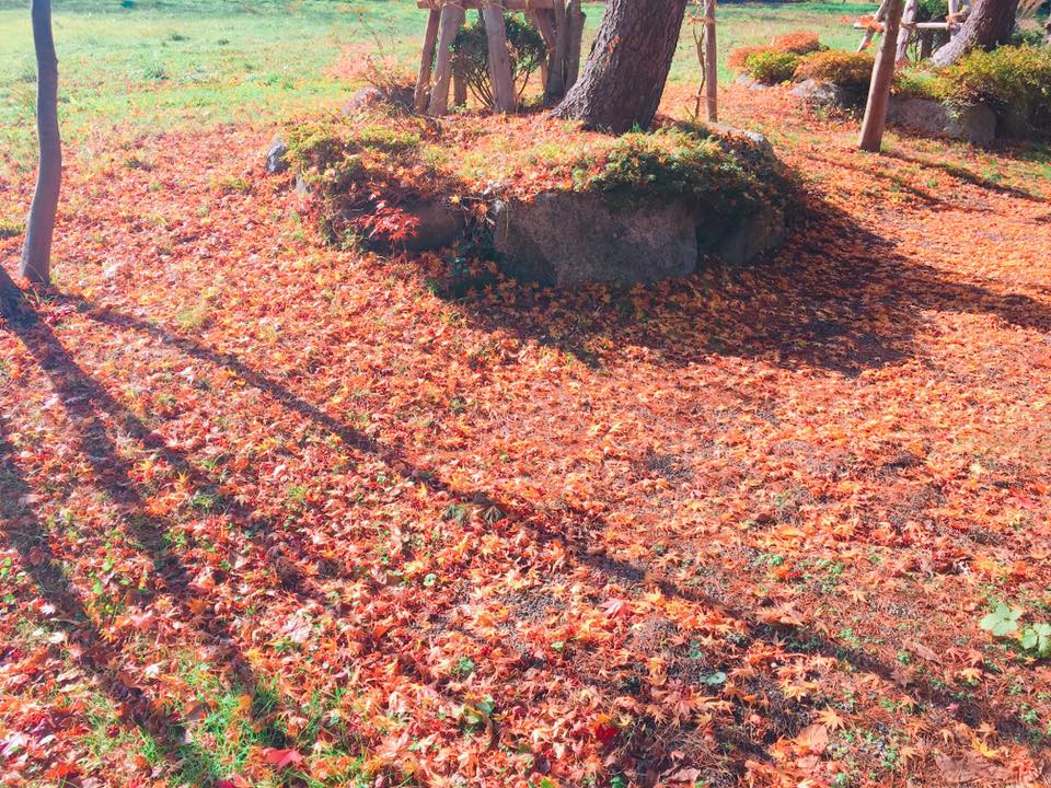 これからは 冬の備えで♪ー米沢の装いー