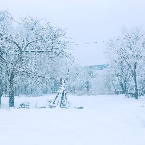 気になる　明日のお天気は？雪が降るの？寒いの？－米沢市の今1月4日～5日－