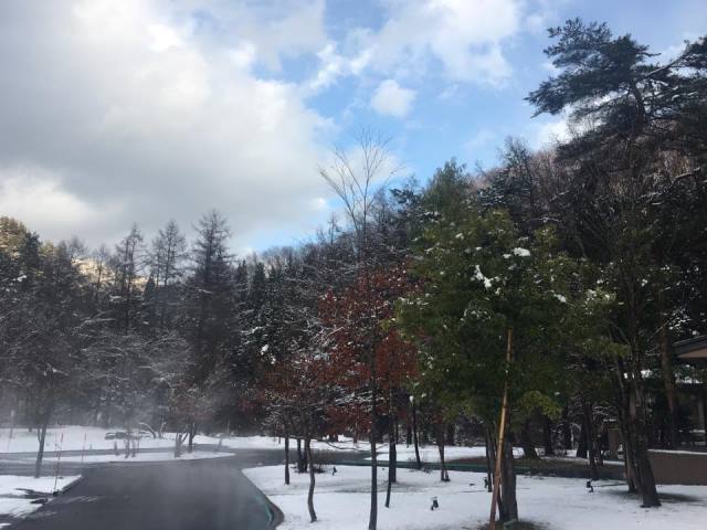 気になる　明日のお天気は？雪が降るの？寒いの？－米沢市の今1月4日～5日－