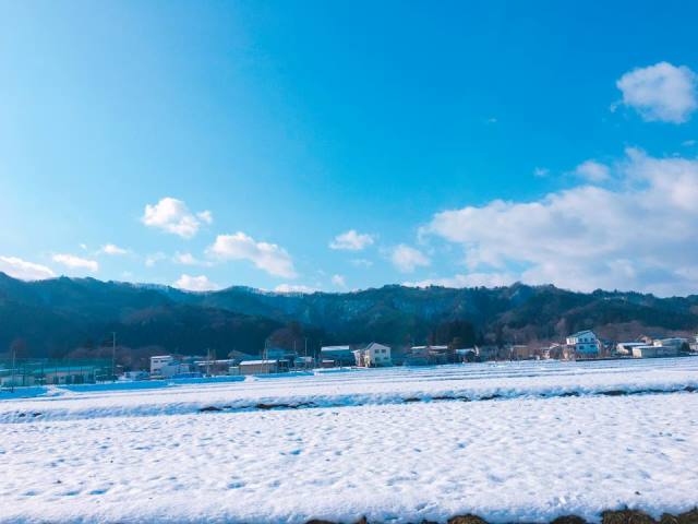 今朝のすみれ近くの田んぼ道より