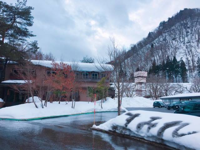 翌日の朝の様子♪ くっきりと すみれの文字