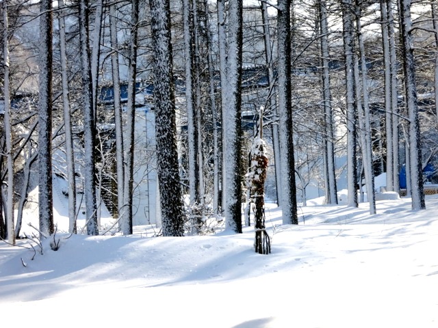 米沢のお正月には雪が似合う。すみれ写真館♪