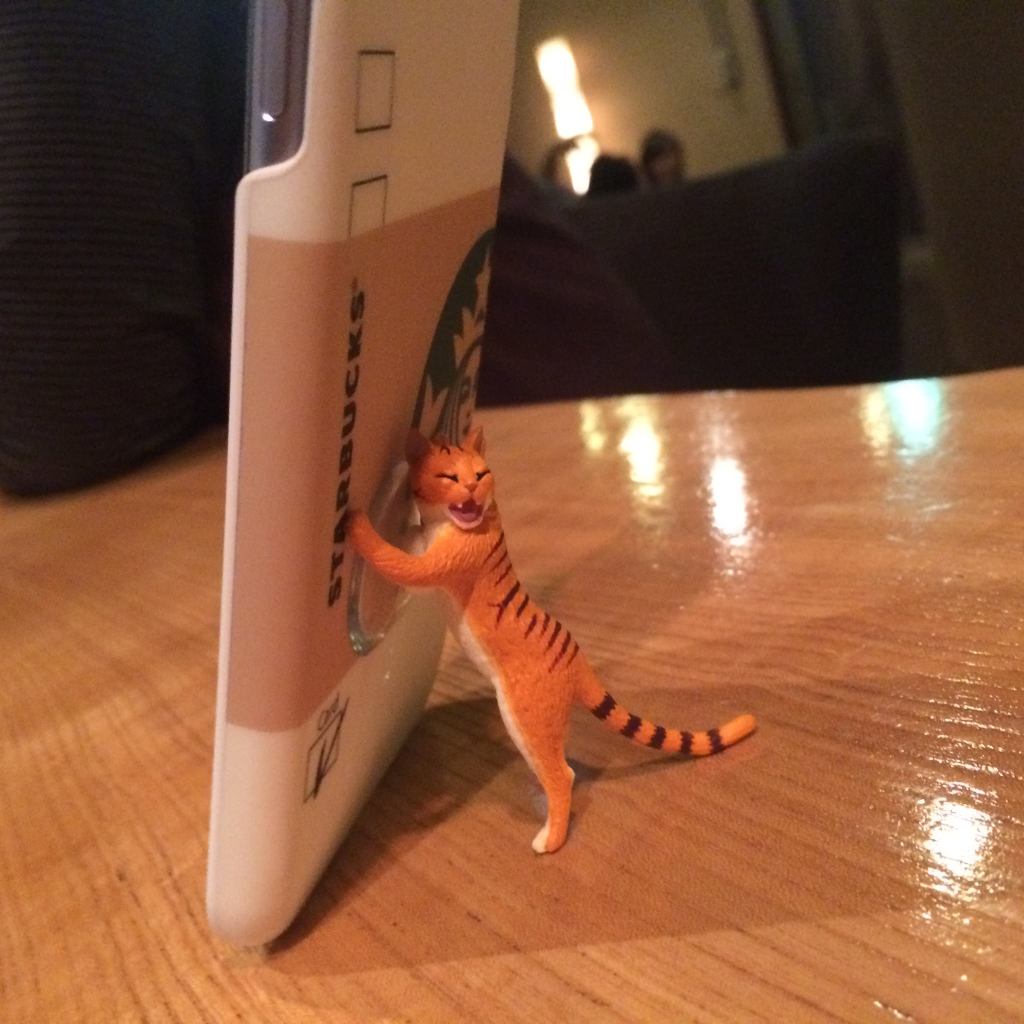 「ここは俺が引き受けた！おまえは先に行くニャー！」って言ってるネコ。