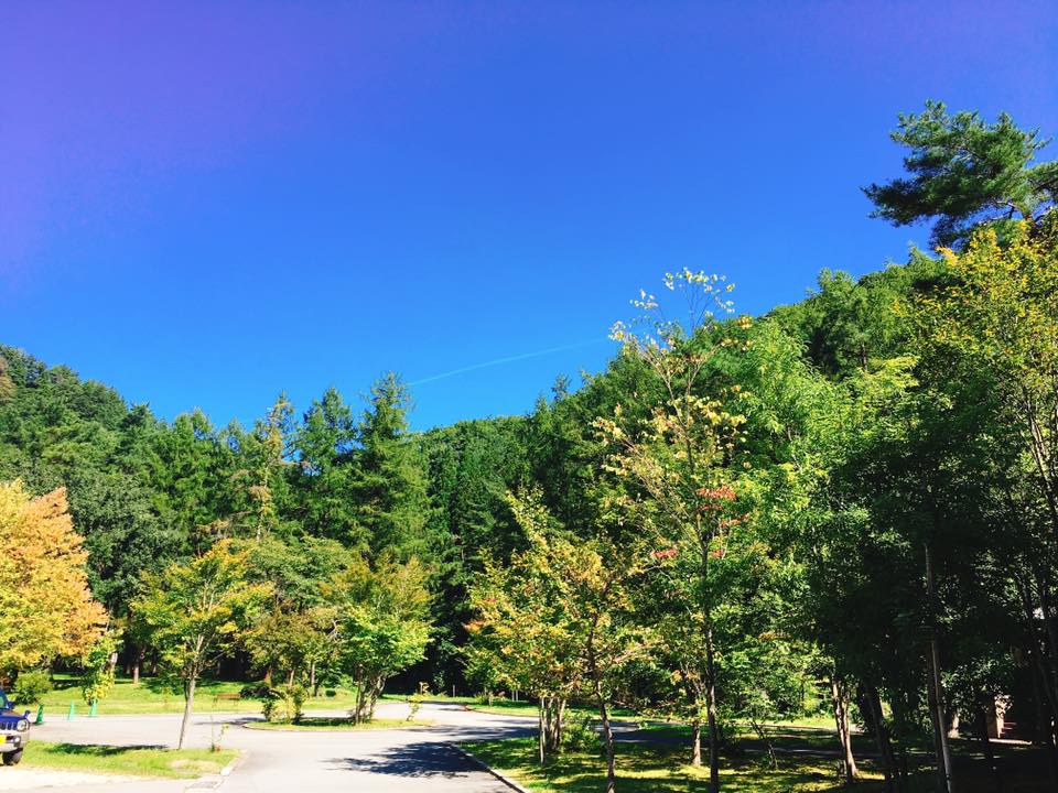 時の宿すみれのWEBサイトリニューアルもう少しで完成です♪