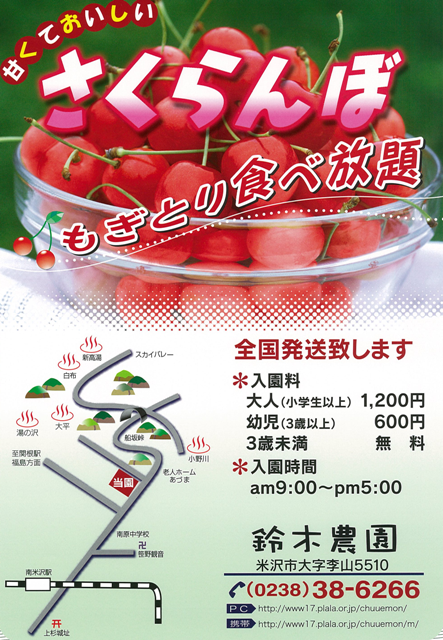 さくらんぼ狩りで 旬を満喫しよう♪ー米沢の美味しい遊びー