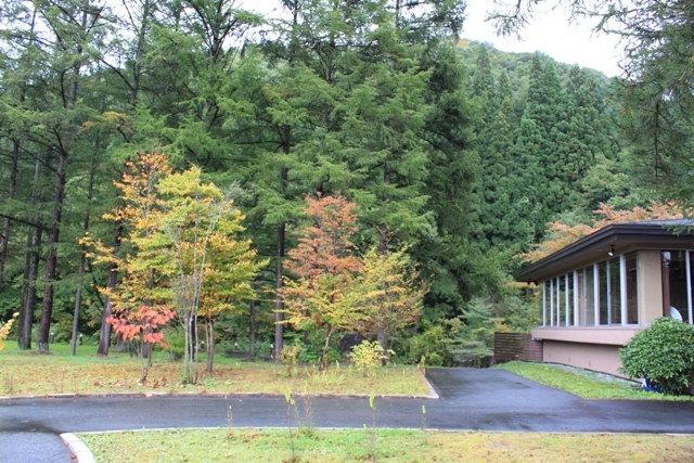 すみれガーデンの紅葉がはじまりました♪