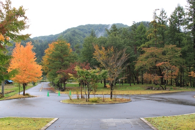 すみれガーデンの紅葉がはじまりました♪