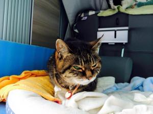 誰かにとって嬉しい瞬間って　計り知れないものがある。ー楽しむ2015年にー