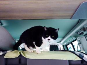 誰かにとって嬉しい瞬間って　計り知れないものがある。ー楽しむ2015年にー