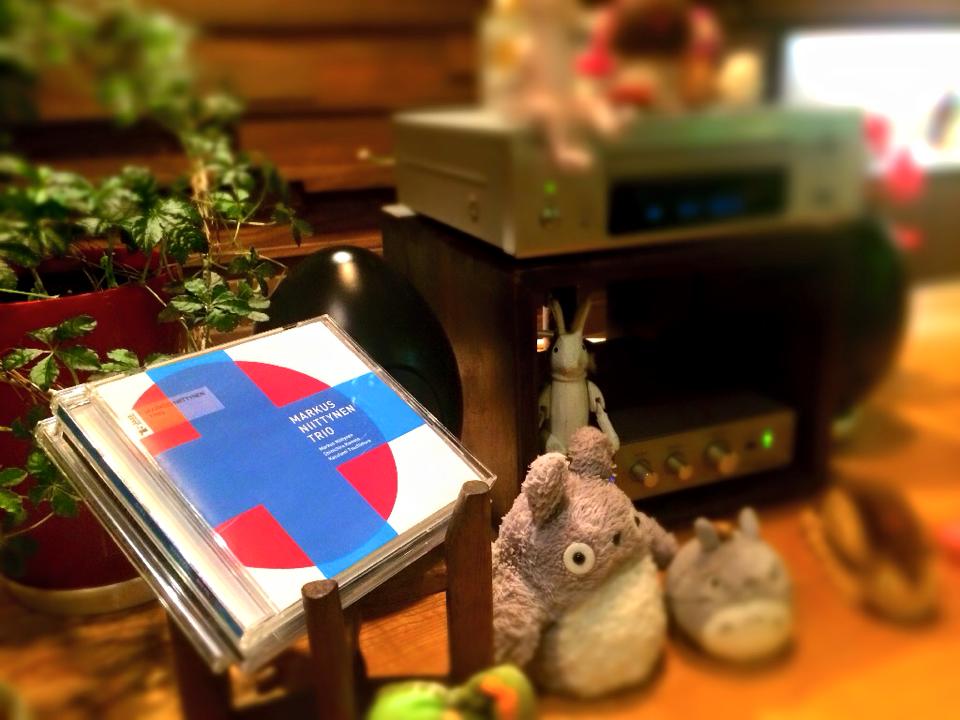 衣替えの6月。夏のはじまり♪いかがお過ごしですか?