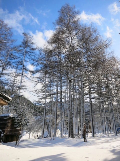 米沢のお正月には雪が似合う。すみれ写真館♪