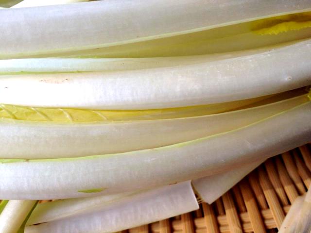 野菜で冬を知る。冬野菜の王様 「雪菜」♪