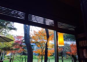 まだ　紅葉がきれいです