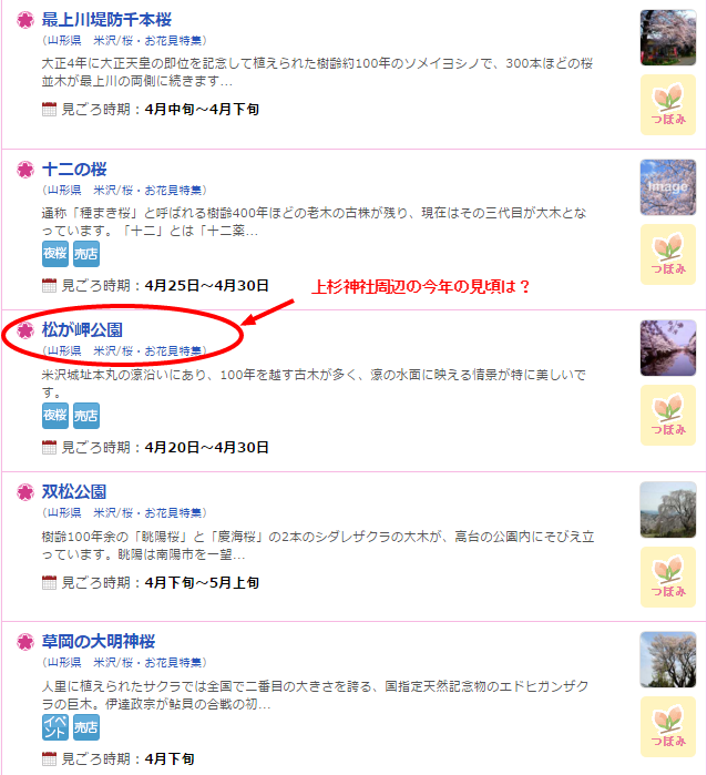 米沢の桜が見ごろなお花見スポット(見ごろ情報 開花予想) いつもNAVI