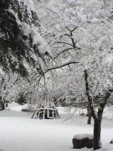 3日の朝はすっぽりと雪化粧のすみれガーデン♪